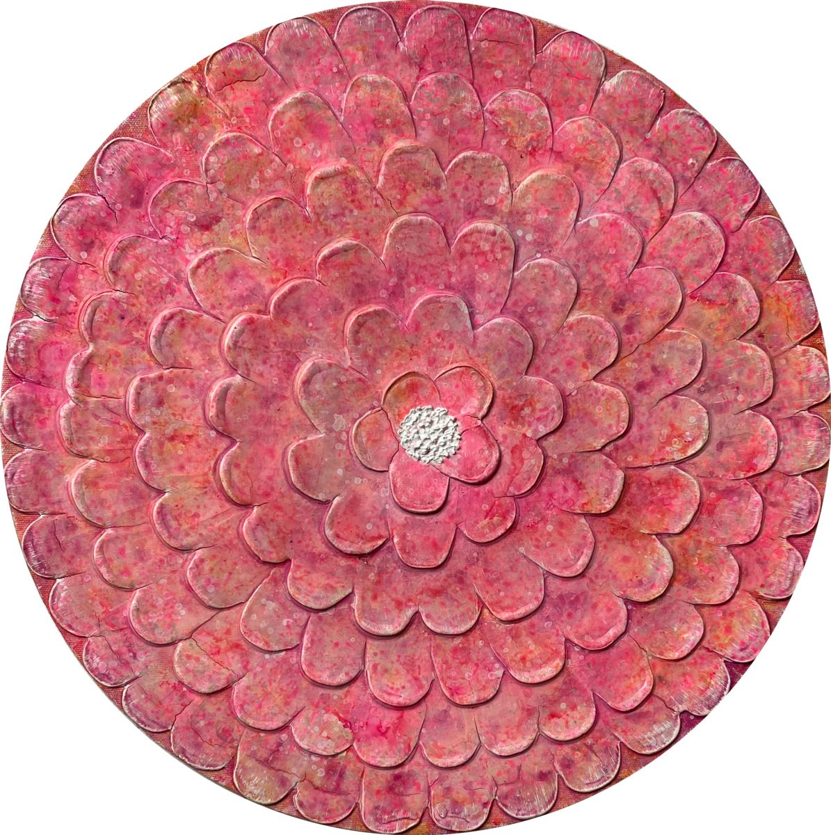 Zinnia Pink Bloom